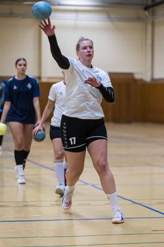 Bild 99 - F TSV Ellerau - HSG Tills Loewen 08 : Ergebnis: 16:18